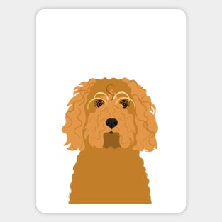 Cute Cockapoo Portrait Sticker